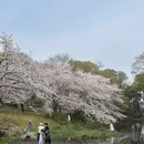 无锡旅游 缩略图 14