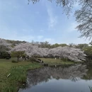 无锡旅游 缩略图 12