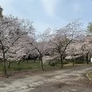 无锡旅游 缩略图 11