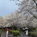 宁波旅游 缩略图 2