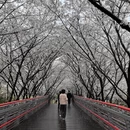 宁波旅游 缩略图 4