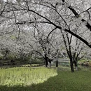 宁波旅游 缩略图 3