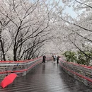 宁波旅游 缩略图 8