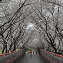 宁波旅游 缩略图 9