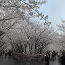 宁波旅游 缩略图 6