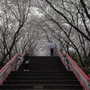 宁波旅游 缩略图 10