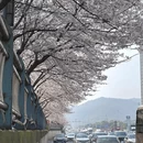 长沙旅游 缩略图 1