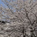长沙旅游 缩略图 6