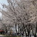 长沙旅游 缩略图 3