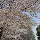 长沙旅游 缩略图 4