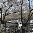 长沙旅游 缩略图 8