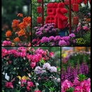 苏州旅游 缩略图 1