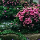 苏州旅游 缩略图 2