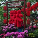 苏州旅游 缩略图 9