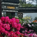 苏州旅游 缩略图 10