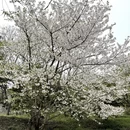 无锡旅游 缩略图 4