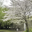 无锡旅游 缩略图 3