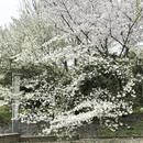 无锡旅游 缩略图 1
