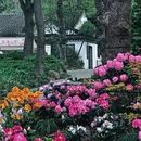 苏州旅游 缩略图 12