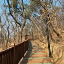 大连旅游 缩略图 8