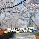 上海旅游 缩略图 1