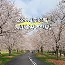 上海旅游 缩略图 1
