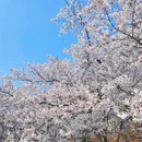 上海旅游 缩略图 3