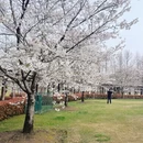 上海旅游 缩略图 8