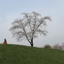 上海旅游 缩略图 7