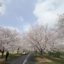 上海旅游 缩略图 6