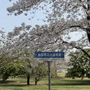 上海旅游 缩略图 4
