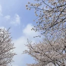 上海旅游 缩略图 12