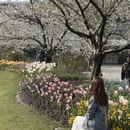 上海旅游 缩略图 3