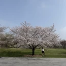上海旅游 缩略图 5