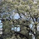 福州旅游 缩略图 2