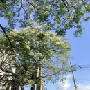 福州旅游 缩略图 6