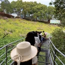 湖州旅游 缩略图 2