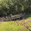 湖州旅游 缩略图 8