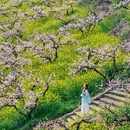 湖州旅游 缩略图 4