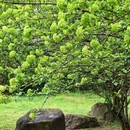长沙旅游 缩略图 3