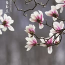 洛阳旅游 缩略图 3