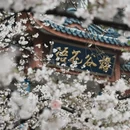 无锡旅游 缩略图 1