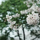 无锡旅游 缩略图 2