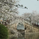 无锡旅游 缩略图 6