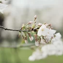 无锡旅游 缩略图 3