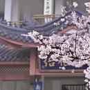 无锡旅游 缩略图 3