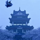 无锡旅游 缩略图 2
