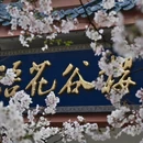 无锡旅游 缩略图 4