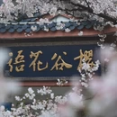 无锡旅游 缩略图 6