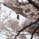 无锡旅游 缩略图 8